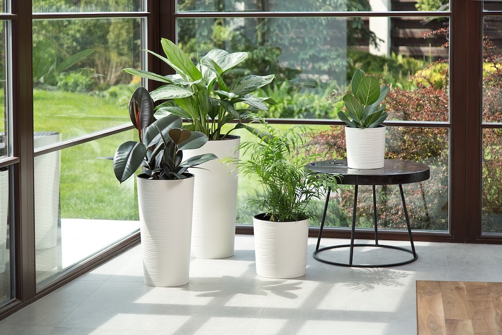 Doniczka Malwa biała - aranżacja