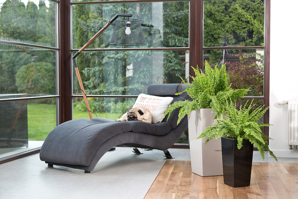 Doniczka Finezja biała i czarna - aranżacja