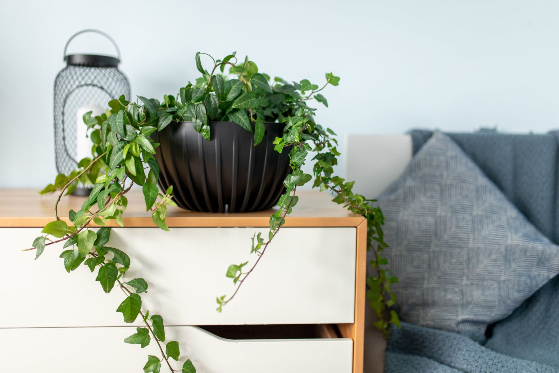 Doniczka Misa Mira Eco Recycled Lamela - aranżacja