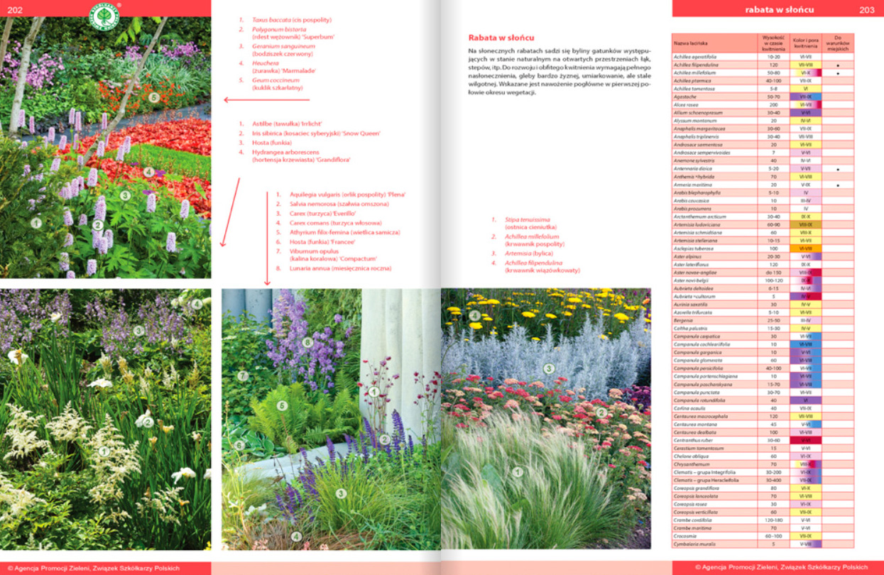 Katalog bylin - aranżacje, inspiracje, tabele