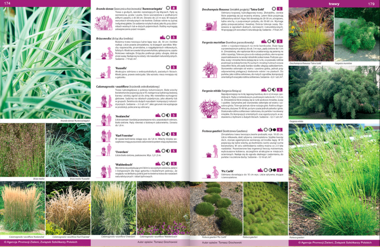 Katalog bylin - opisy roślin