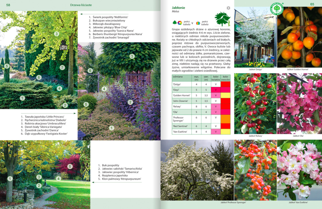Katalog Rośliny do każdego ogrodu - opisy roślin, aranżacje, tabele