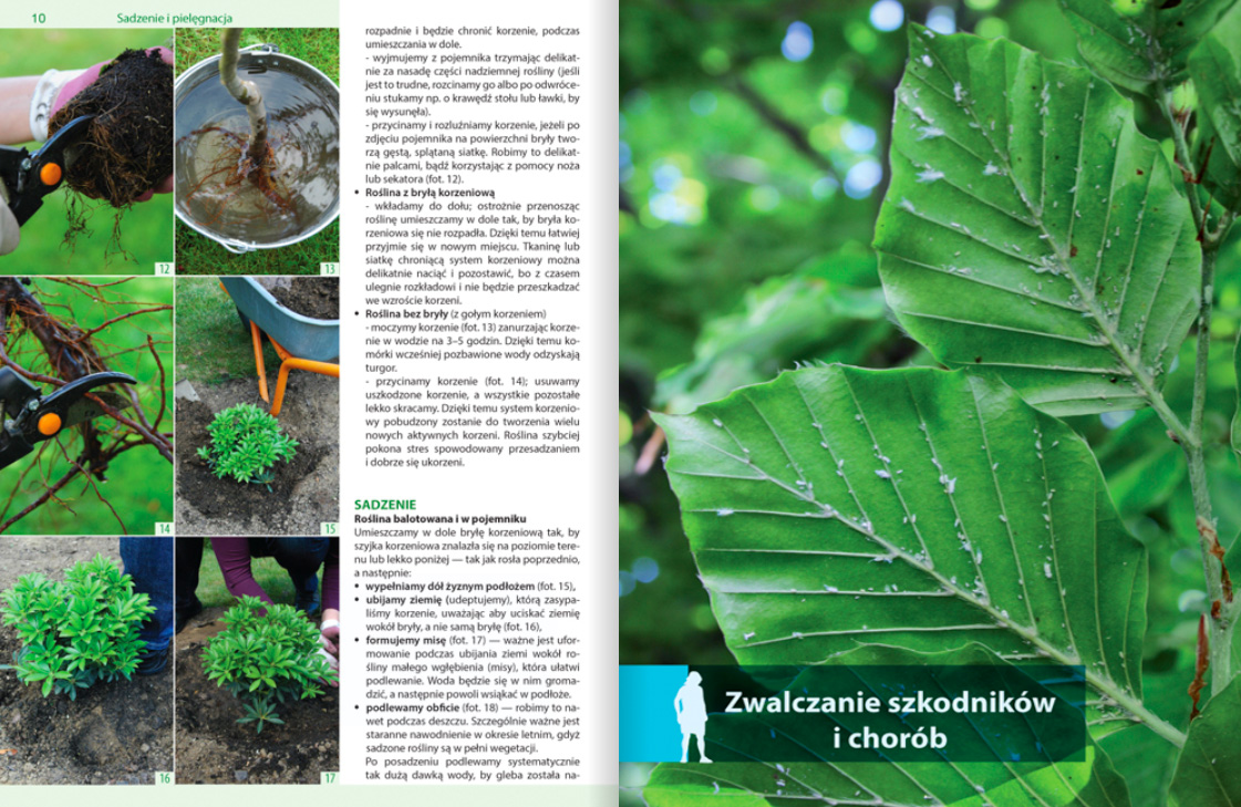 Katalog Rośliny do każdego ogrodu - informacje o pielęgnacji i ochronie roślin
