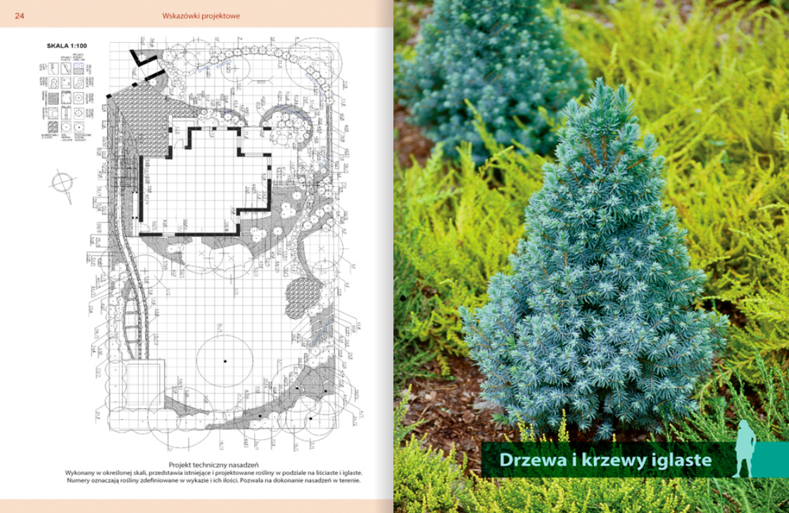 Katalog Rośliny do każdego ogrodu - wskazówki projektowe