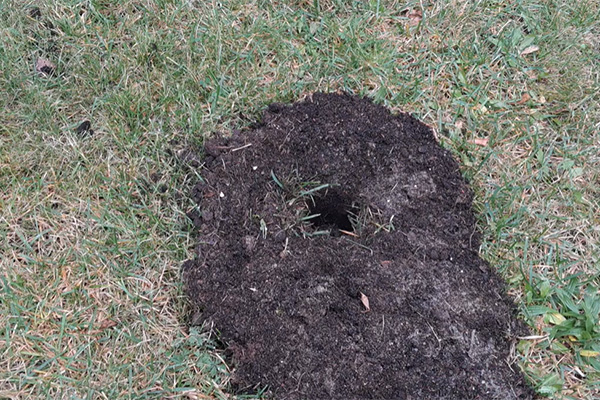 Otwórz tunel minimalnie