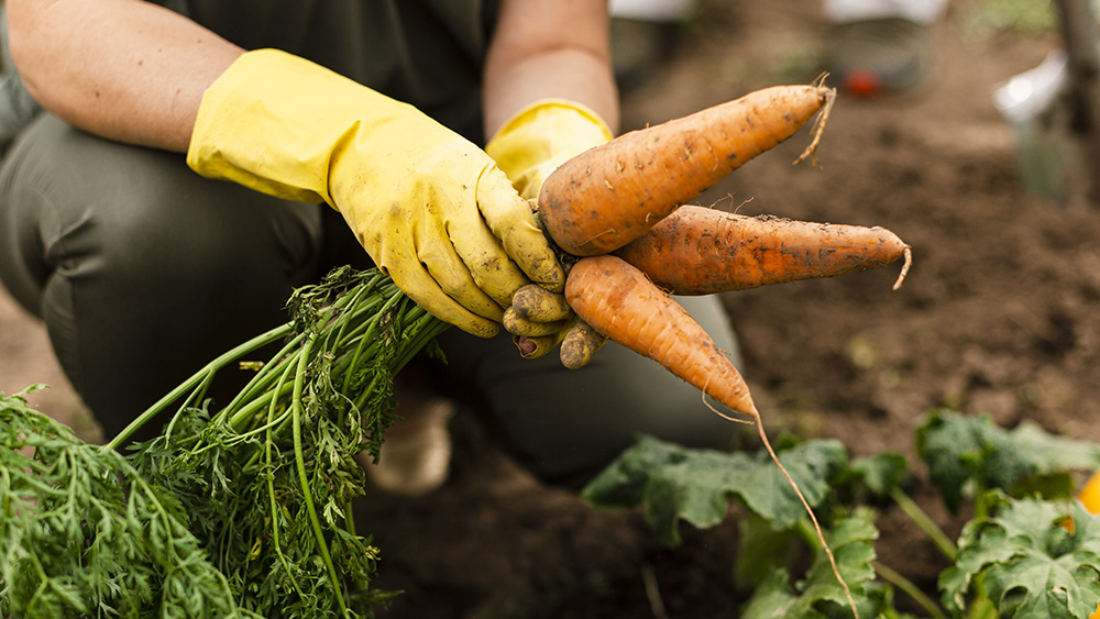 Nawóz do warzyw granulowany