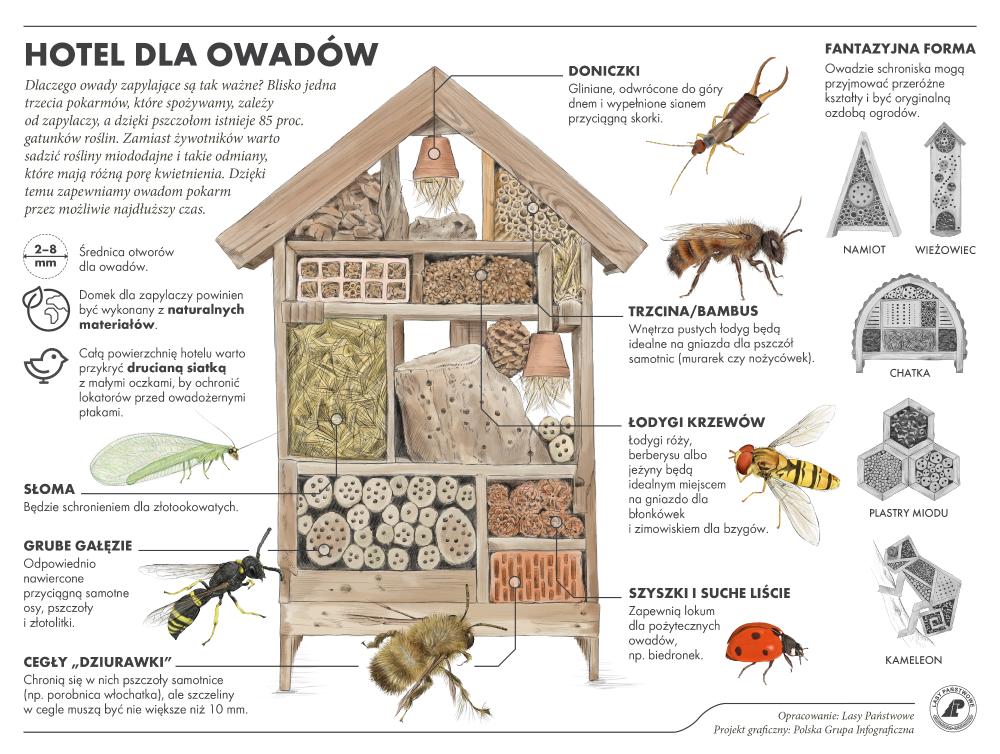 Pszczoły murarki - hotel dla owadów - infografika
