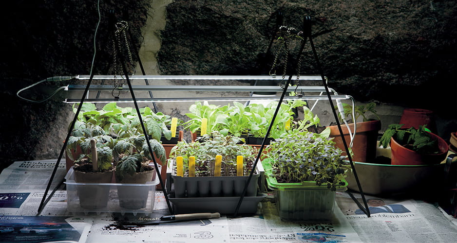 Stelaż do doświetlania roślin