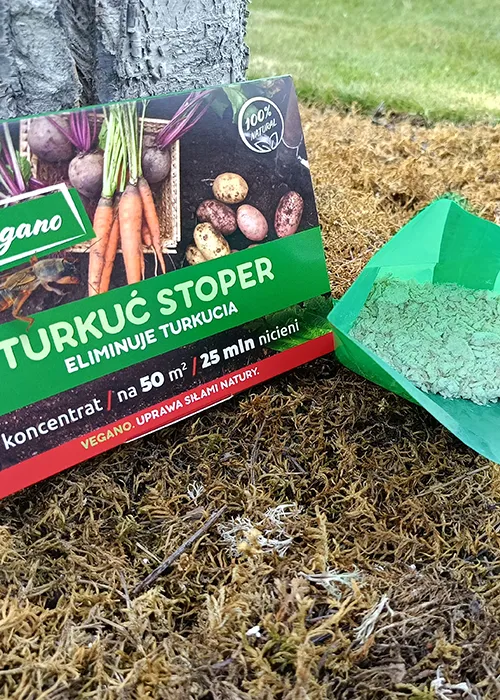 turkuć podgryza korzenie