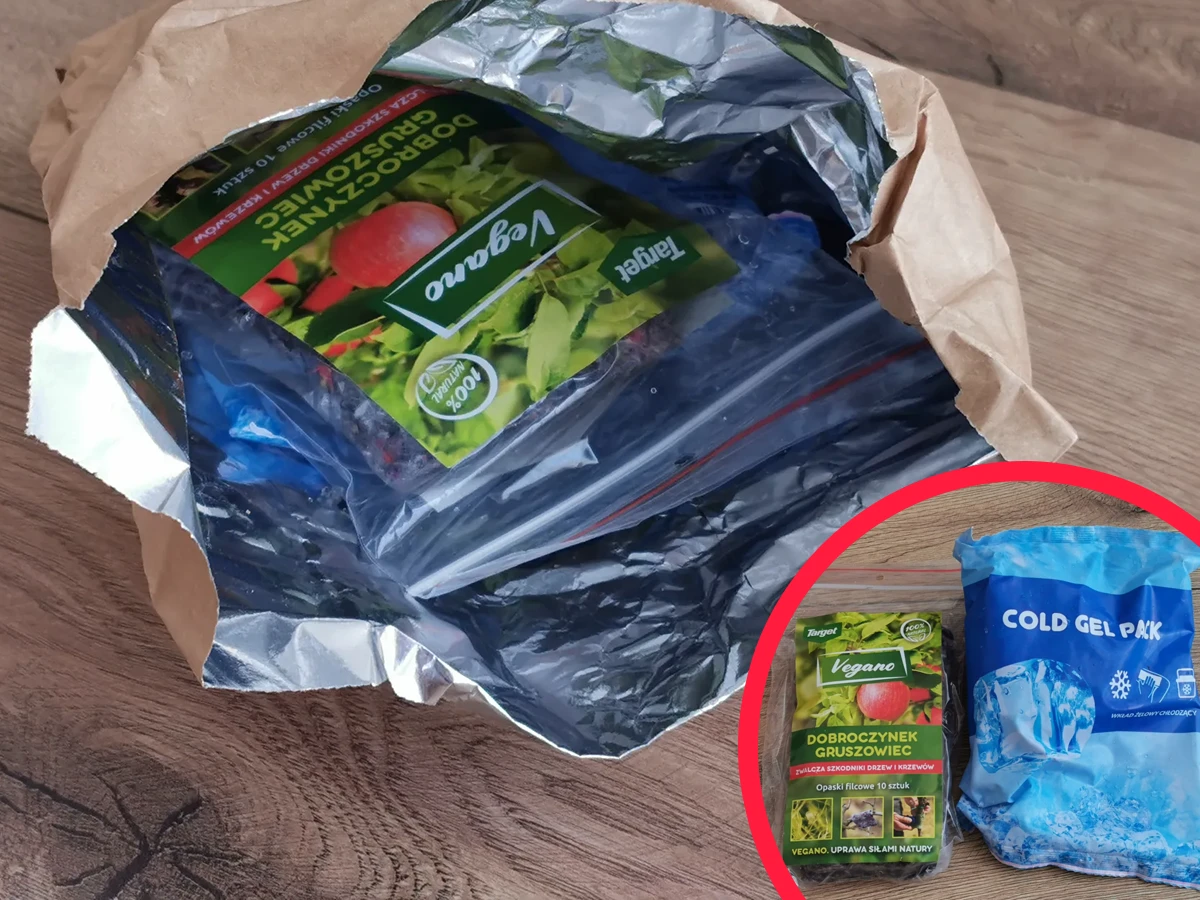 Dobroczynek gruszowy Vegano - produkt pakowany termicznie z wkładem chłodzącym