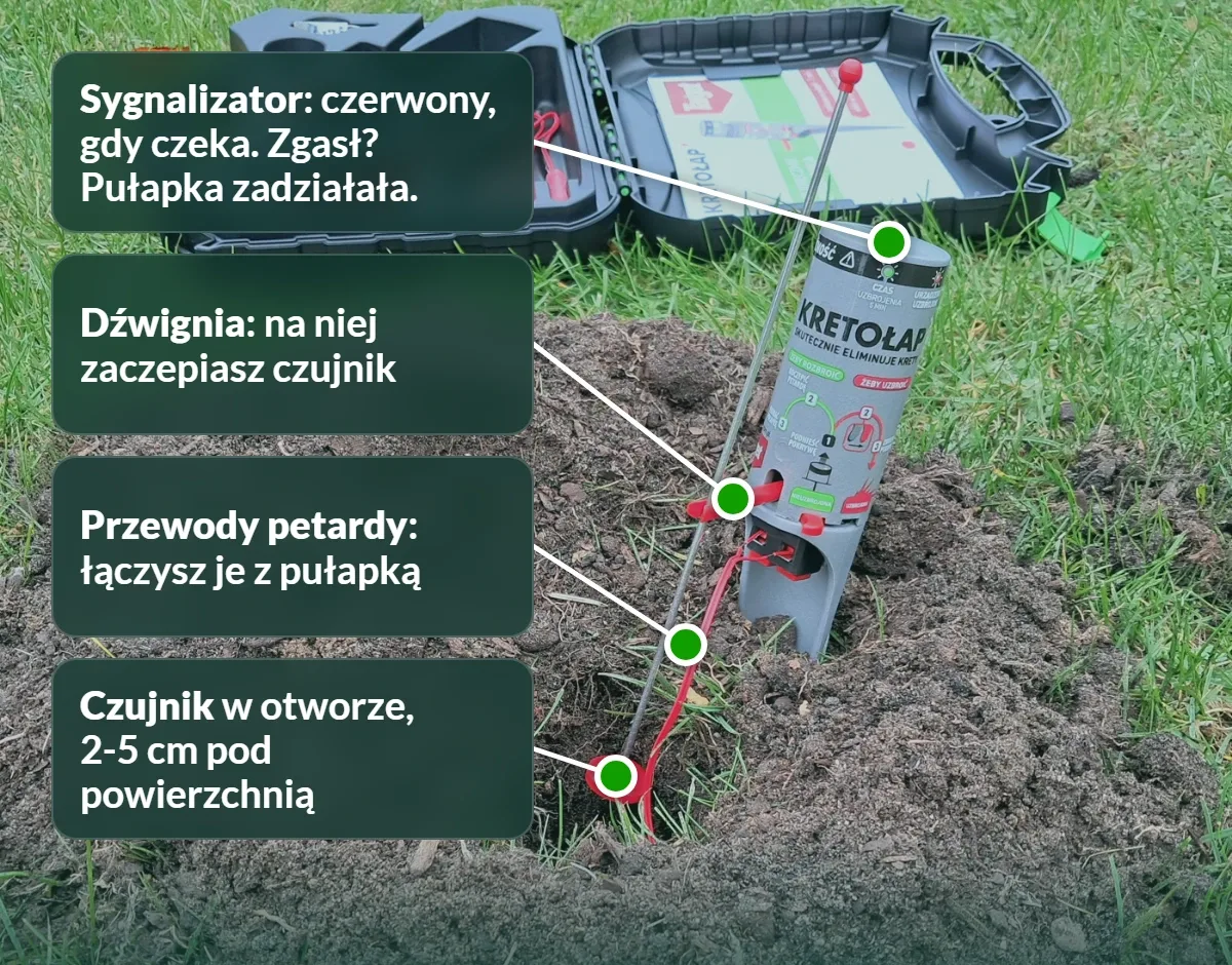 Kretołap ustawiony w kopcu, opis części pułapki
