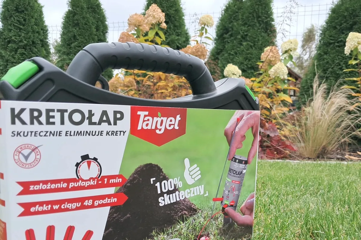 Kretołap Target na trawniku w ogrodzie