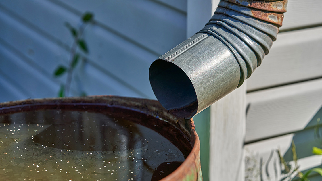 Zbieranie deszczówki i na jak długo wystarczy tej wody?