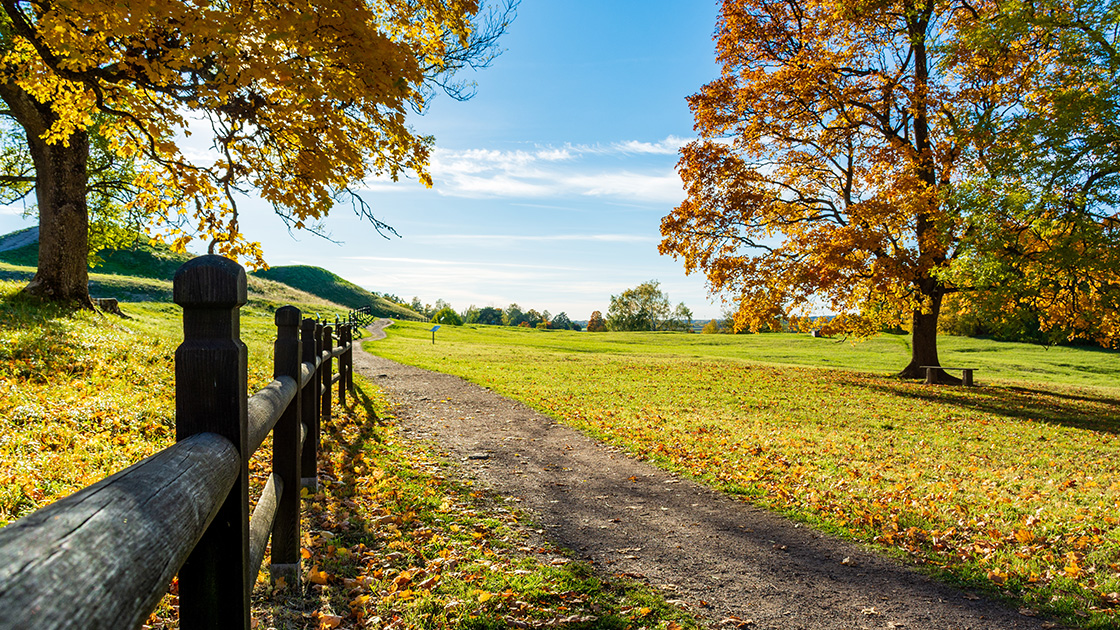 Nawożenie jesienne - czym się różni, jak i kiedy wykonać?