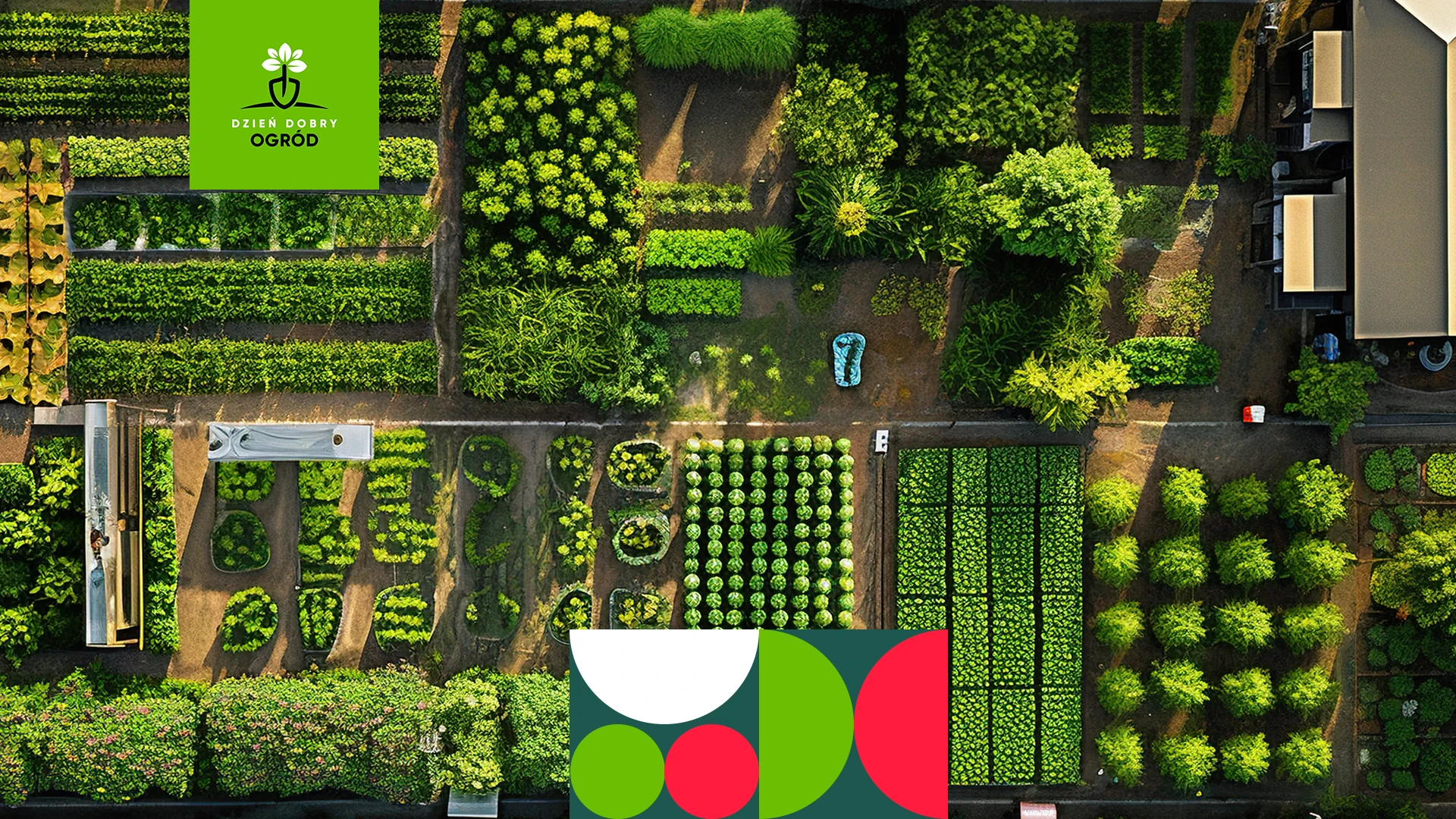 Płodozmian - dlaczego powinieneś wprowadzić go w swoim ogrodzie warzywnym?