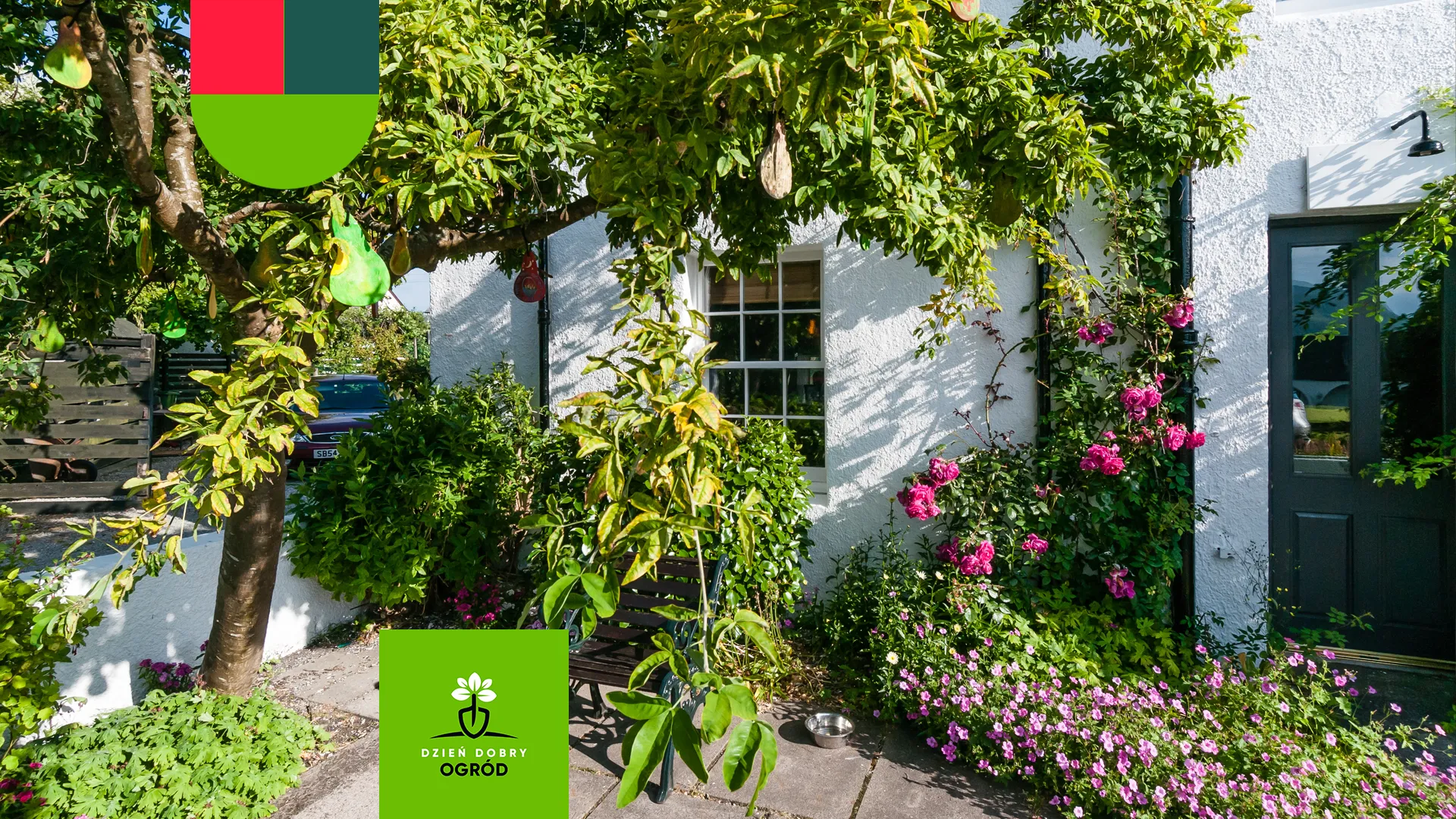 Ogródek przed domem – pomysły i inspiracje