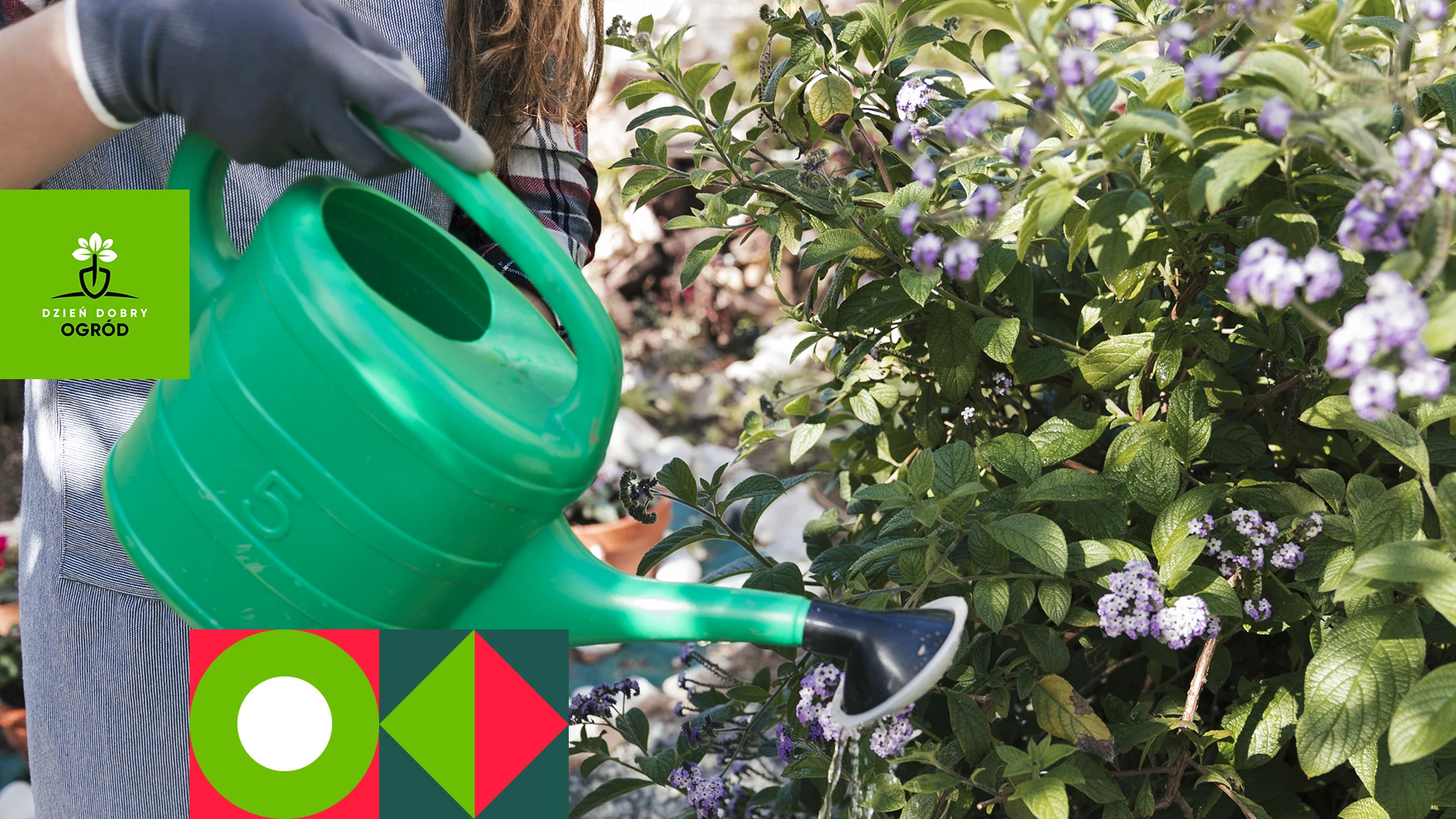 Biohumus – co to jest i jak działa?