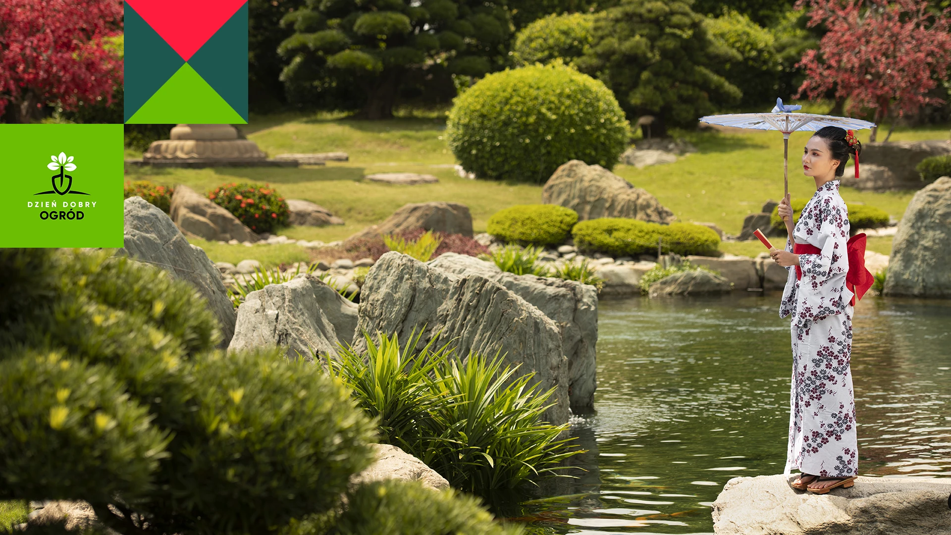 Rośliny na skalniak – 12 gatunków na cały rok!