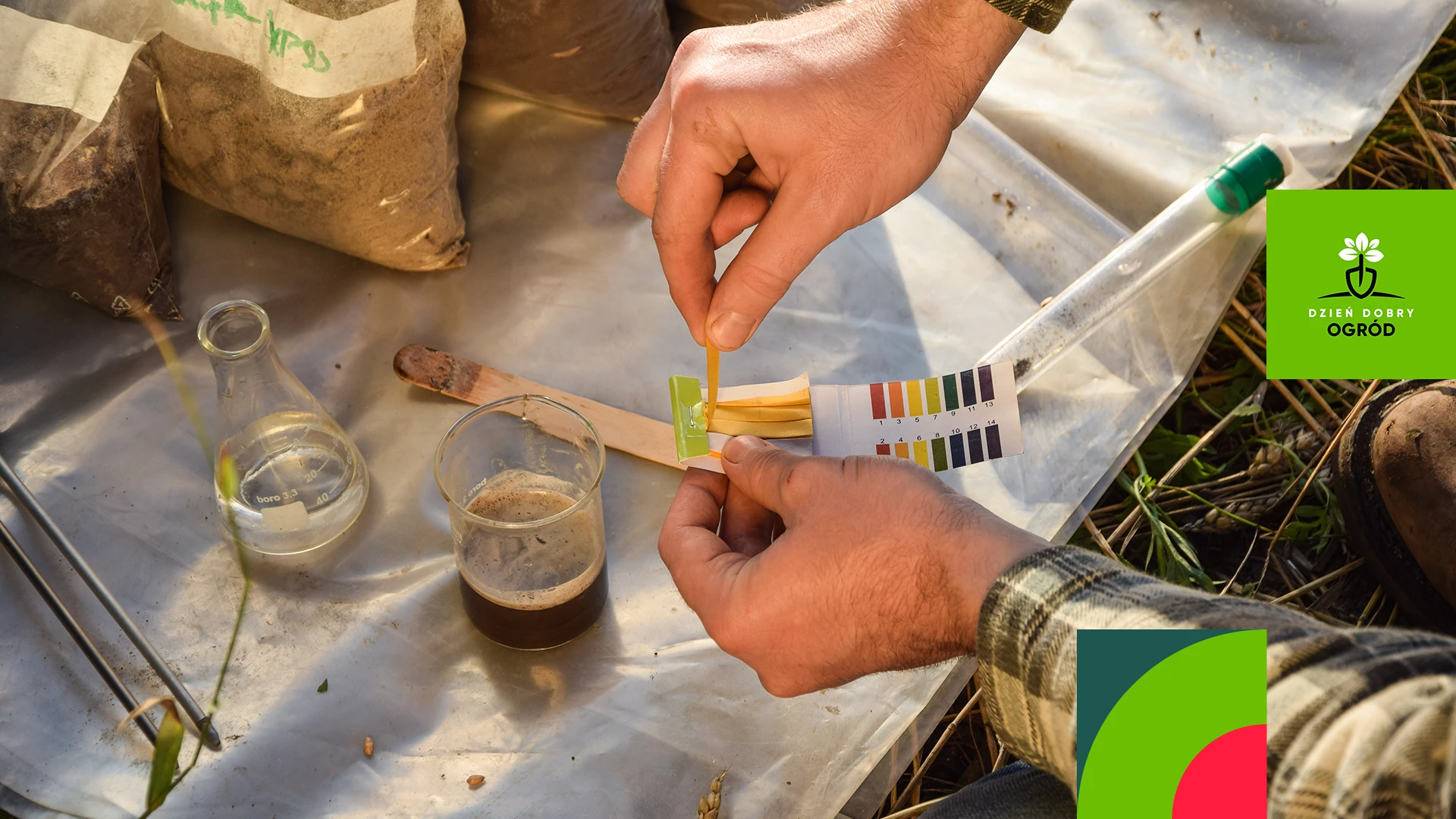 Zakwaszanie gleby. Użyj tych środków do obniżenia pH podłoża