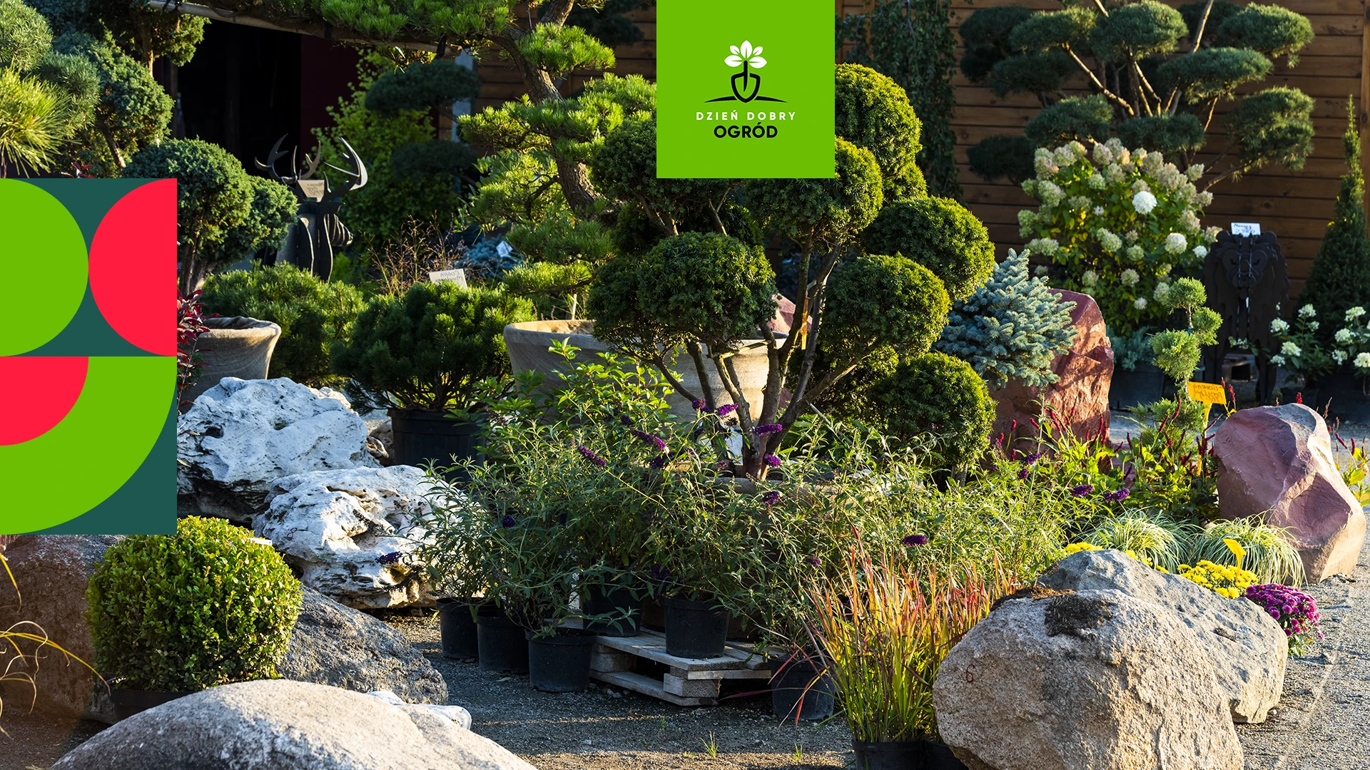 Aranżacja ogrodu przy płocie – jak zapewnić sobie piękny widok z okna przez cały rok?