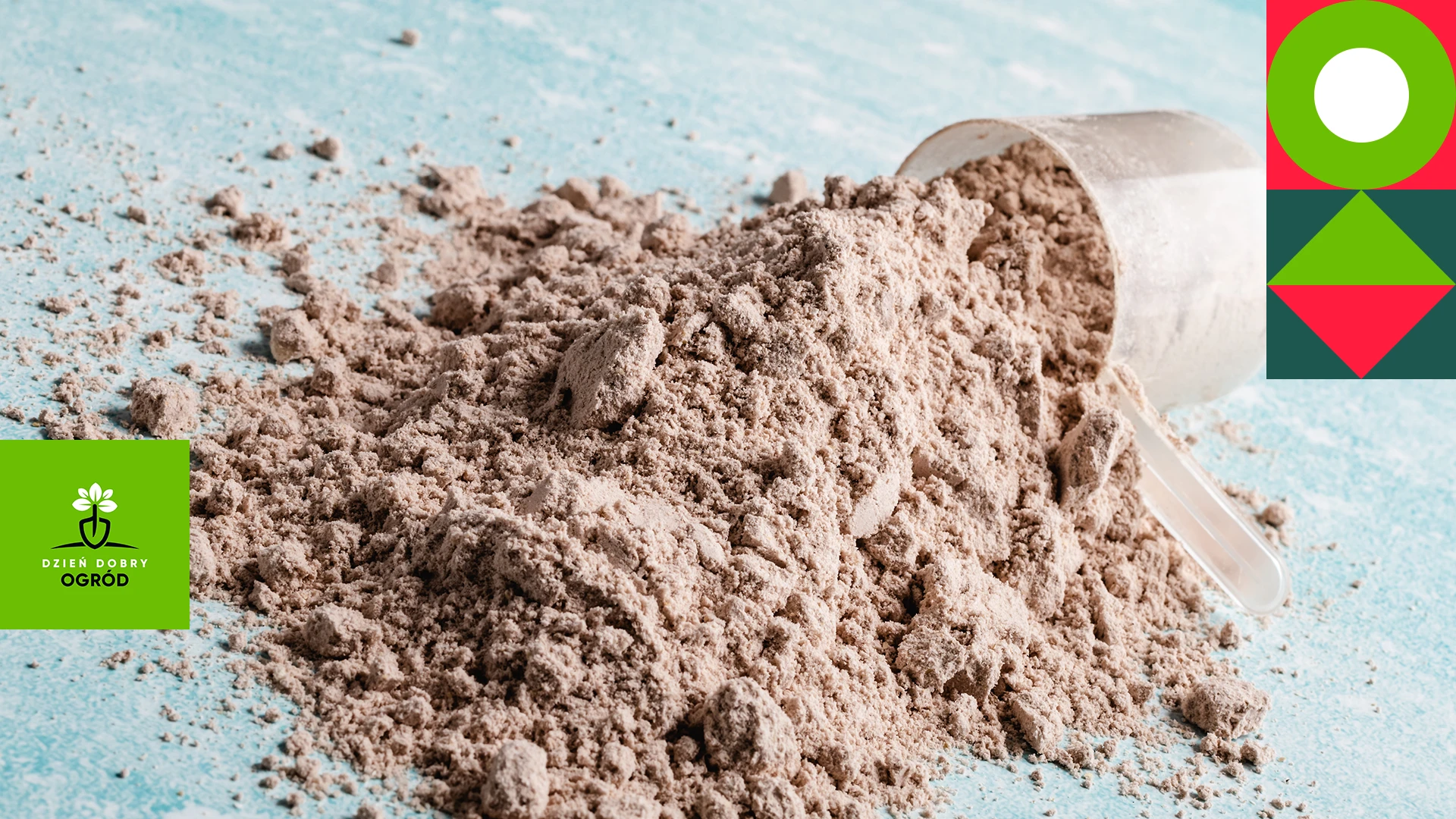 Ziemia okrzemkowa (diatomit) - jak ją stosować w ogrodzie przeciwko szkodnikom?