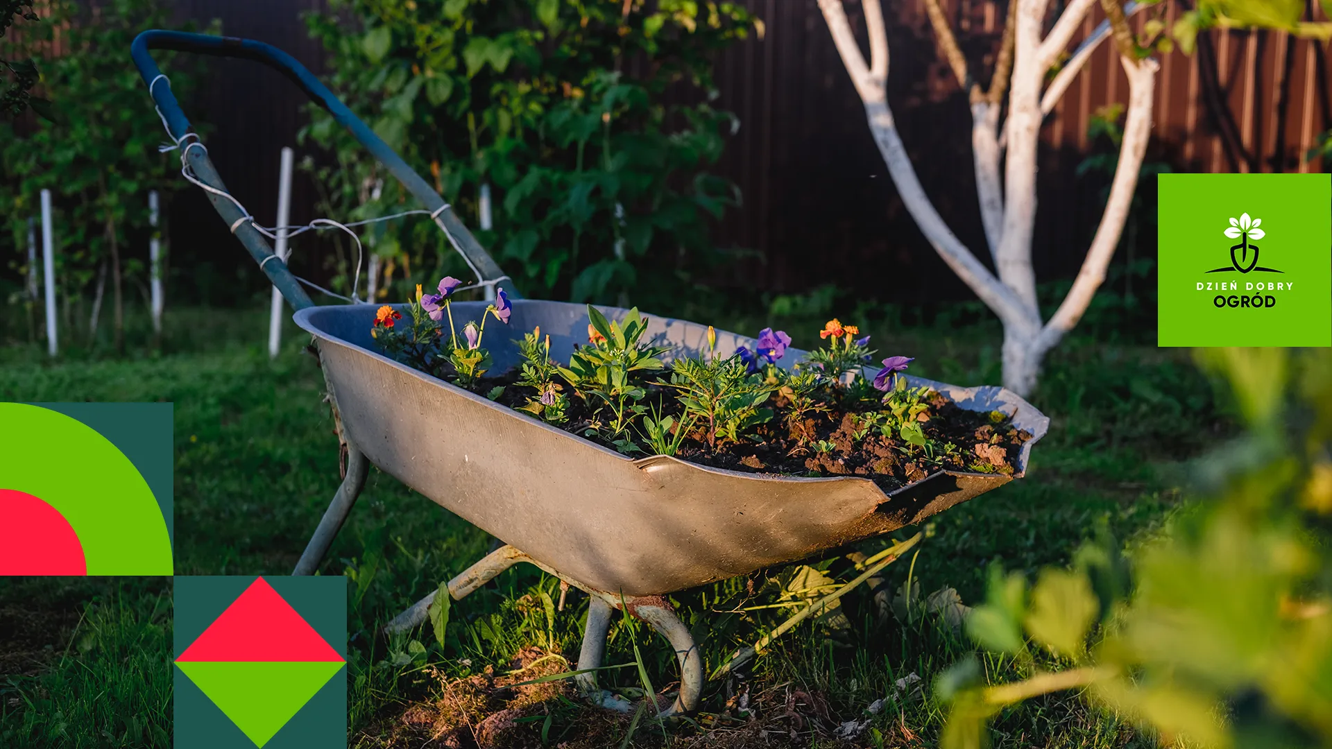Jak zacząć przygodę z ogrodnictwem – poradnik dla początkujących