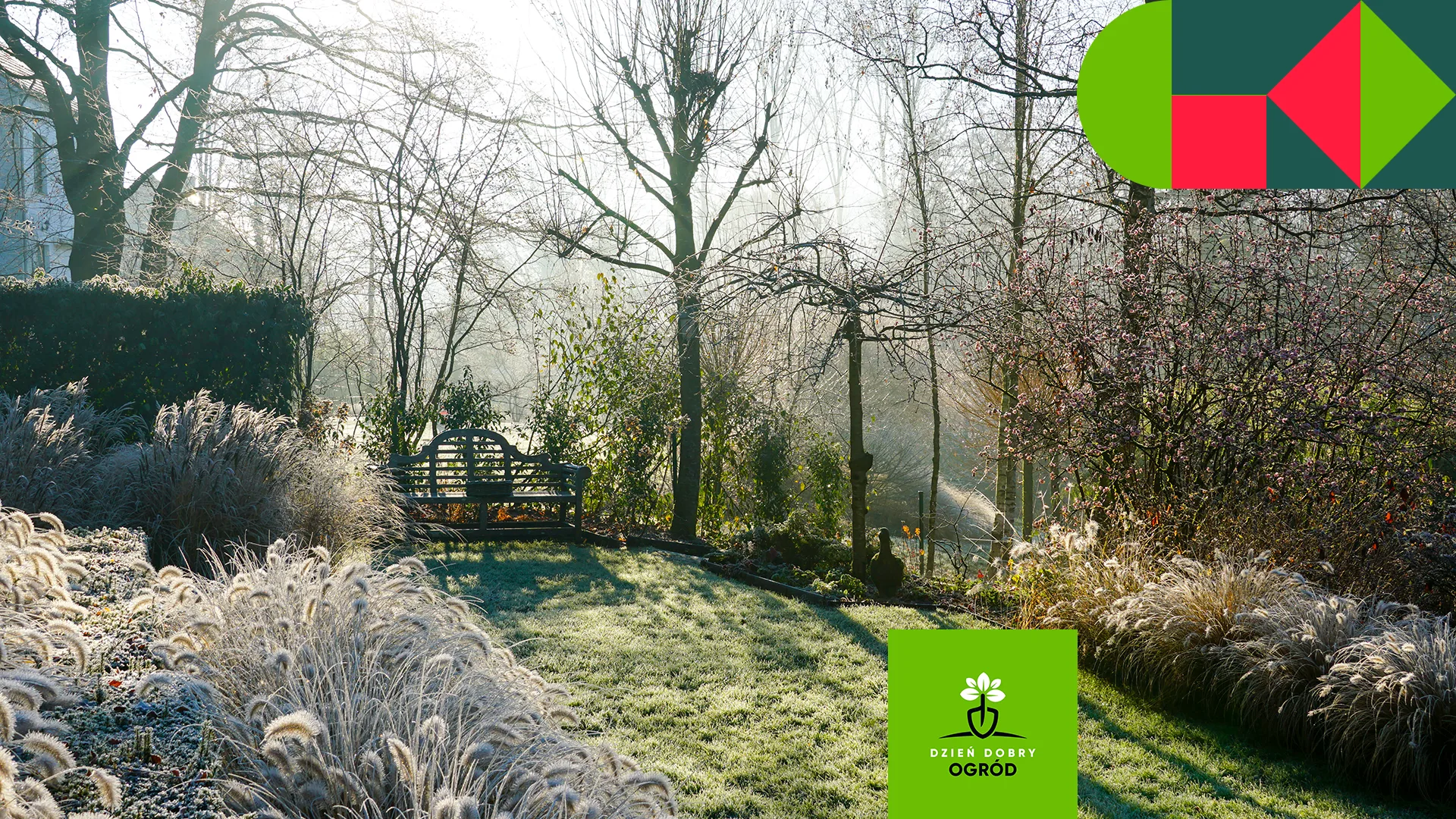 3 rzeczy, których nigdy nie rób zimą w ogrodzie