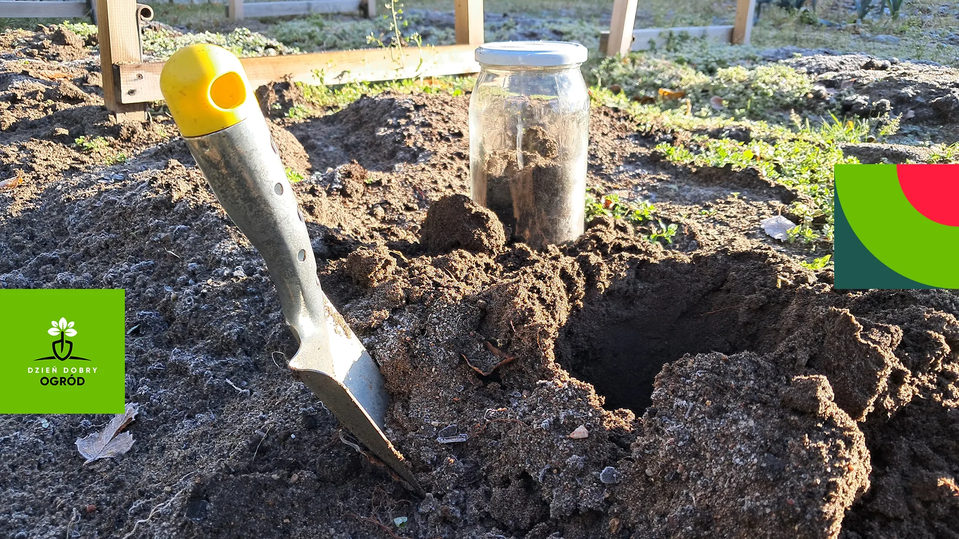 Badanie gleby w ogrodzie – fundament udanych upraw