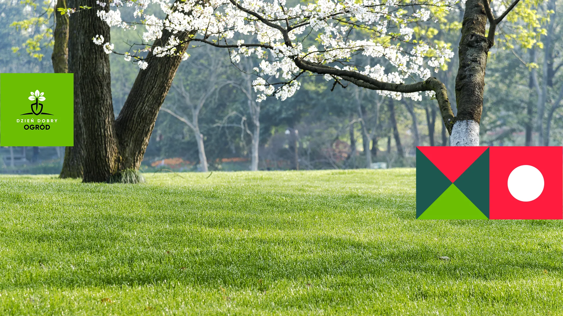 Trawnik – co decyduje o jego kondycji na starcie sezonu