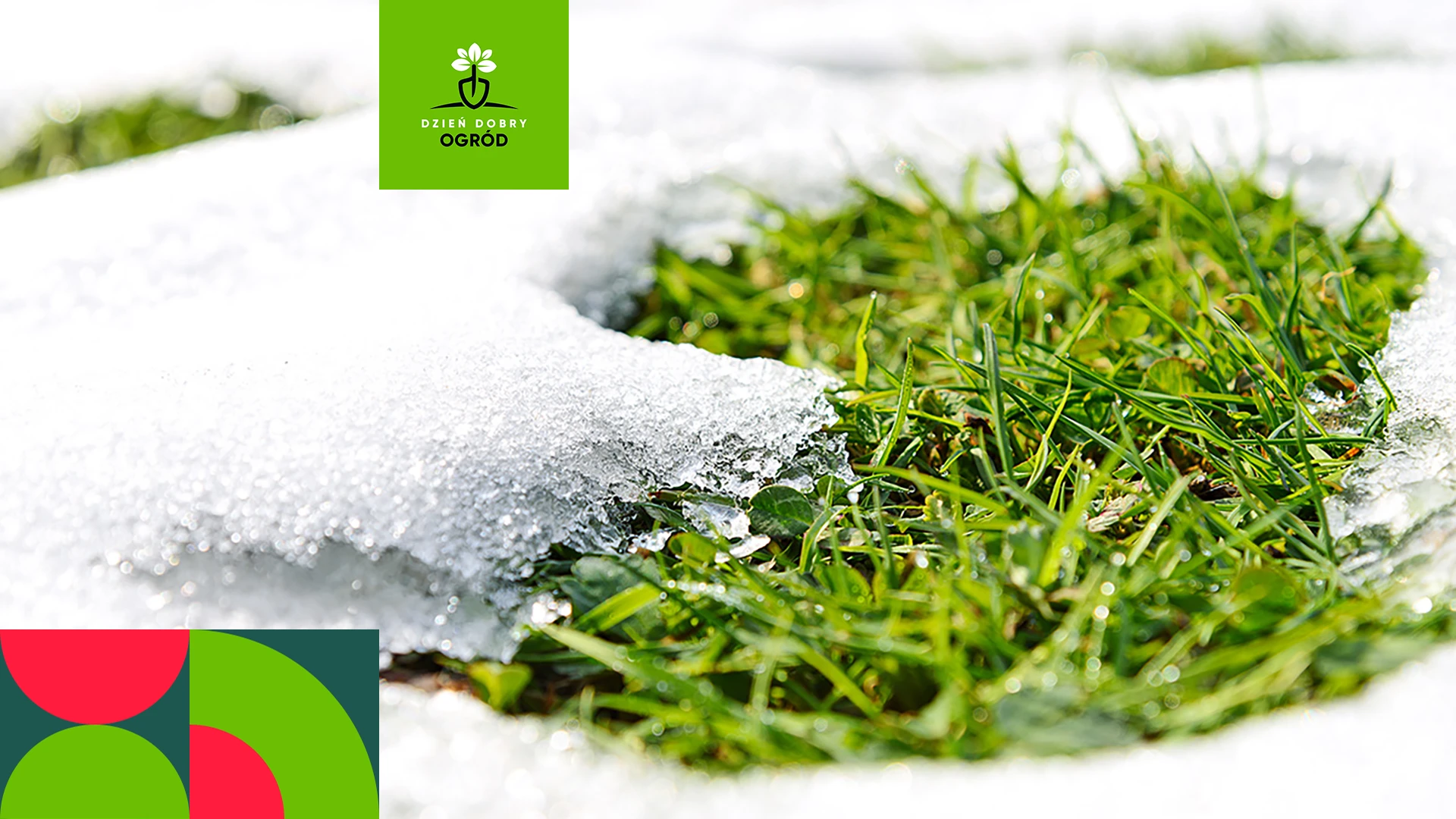 Dlaczego w lutym nie robi się większości zabiegów na trawniku?