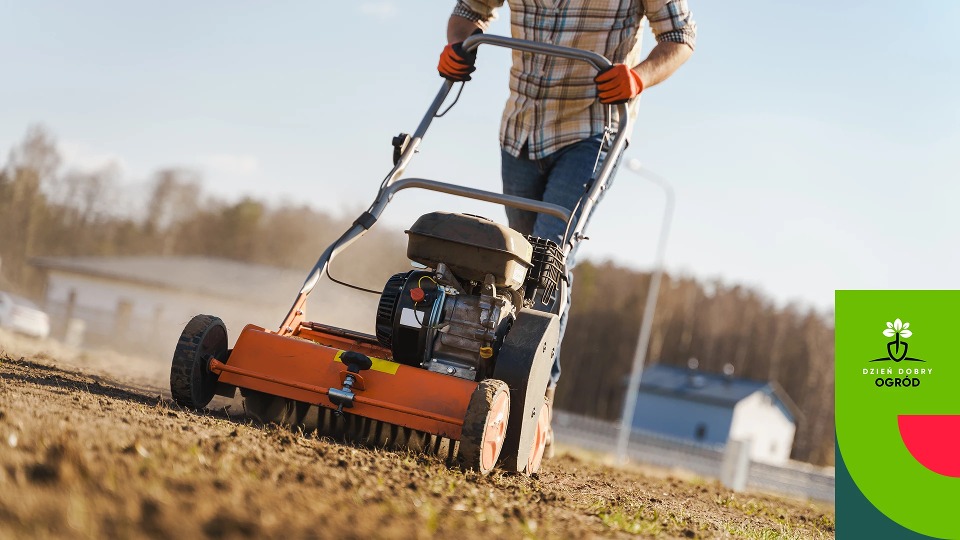 Skaryfikacja, wertykulacja, aeracja – które narzędzie kupić, żeby nie wyrzucić pieniędzy