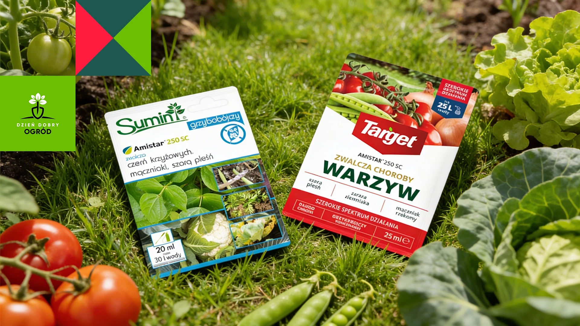 Amistar 250 SC – kiedy to dobry wybór na choroby grzybowe, a kiedy przesada