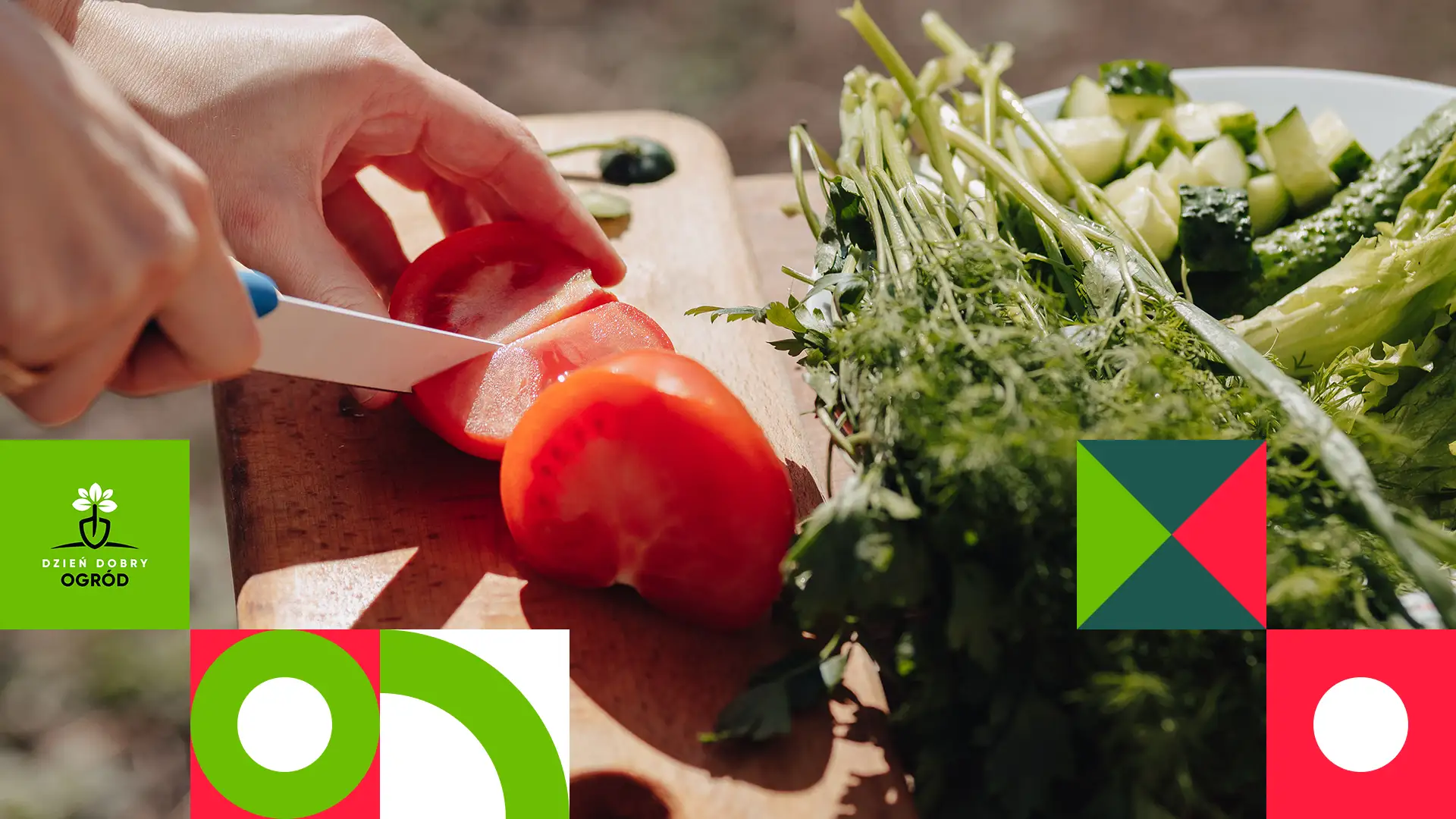 Kiedy siać warzywa? Zobacz, jak zaplanować prace w warzywniku