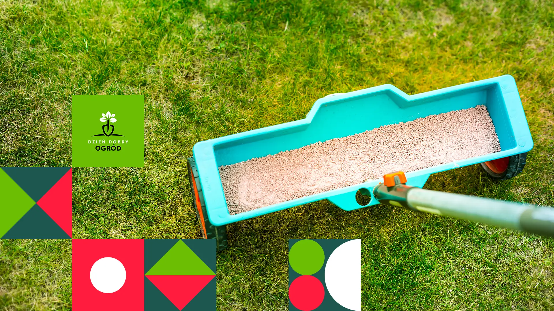Nawóz do trawy na wiosnę. Niech Twój trawnik odzyska siłę i wygląd po zimie