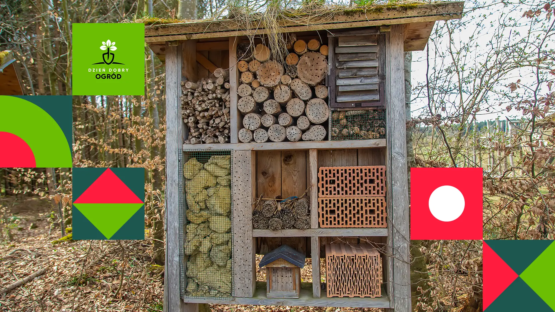 Pszczoły murarki w ogrodzie