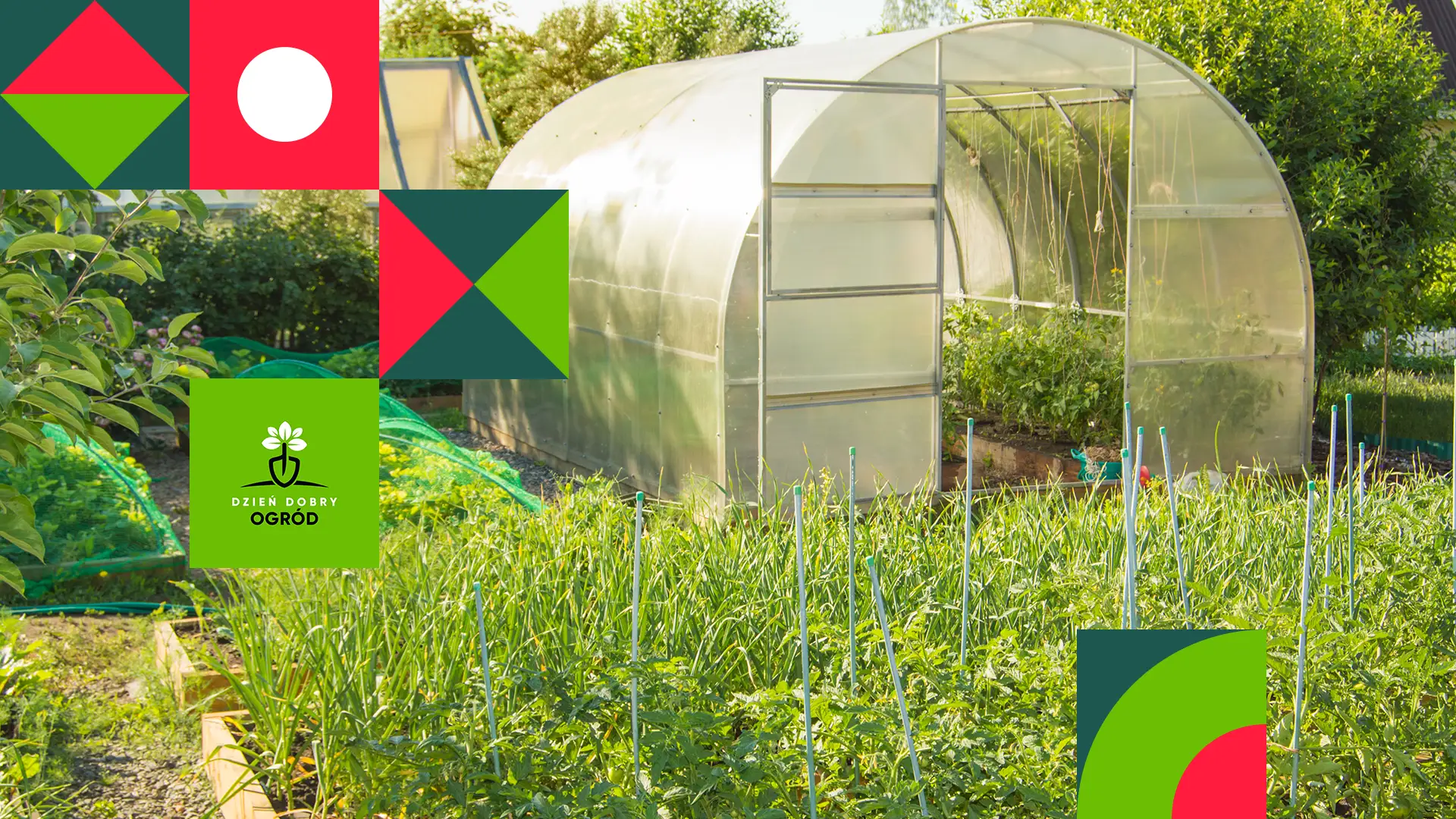Jaka szklarnia ogrodowa? Wybierz najlepszą osłonę dla swoich upraw