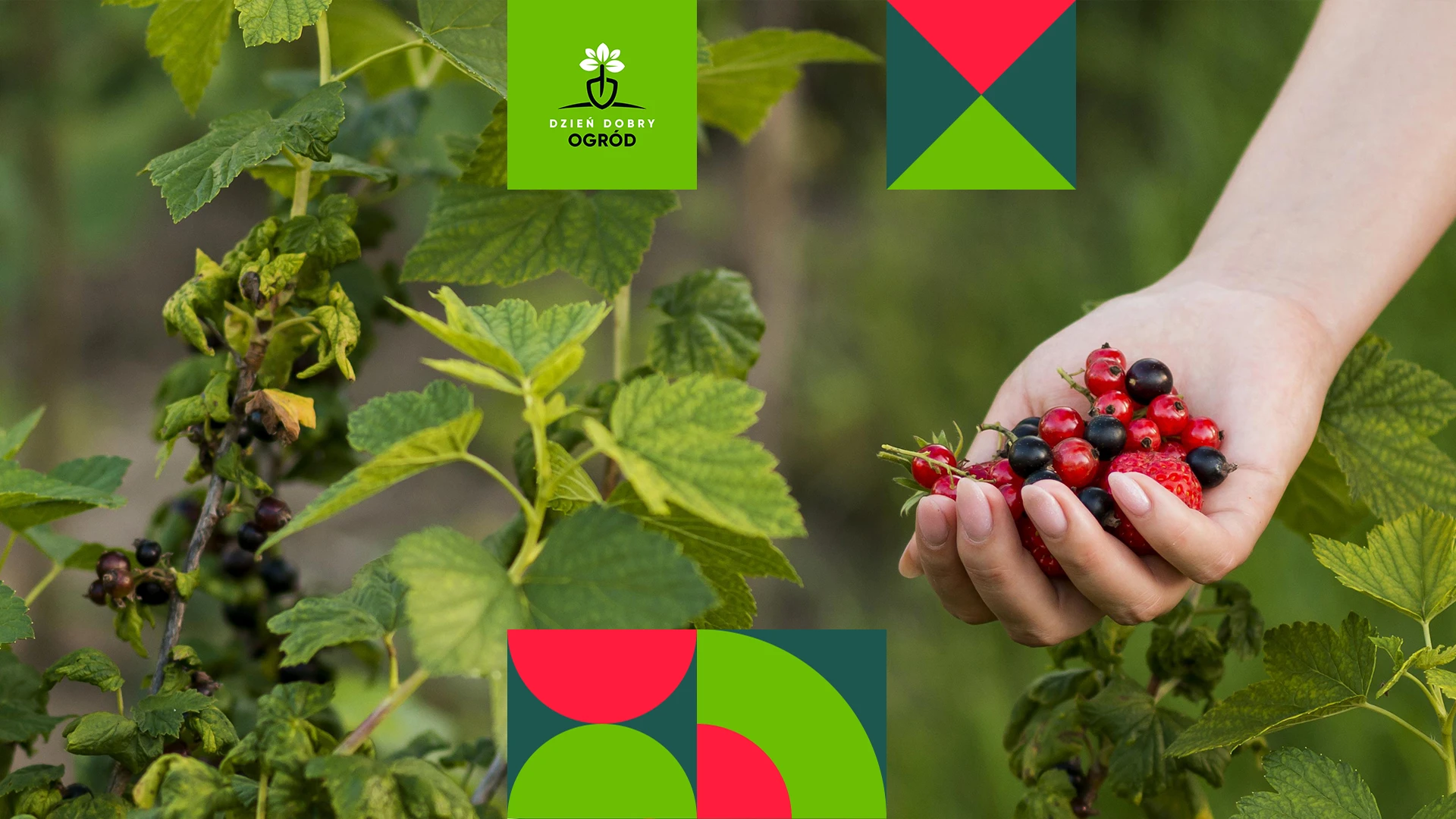 Lipiec w ogrodzie. Jakie obowiązki na Ciebie czekają?