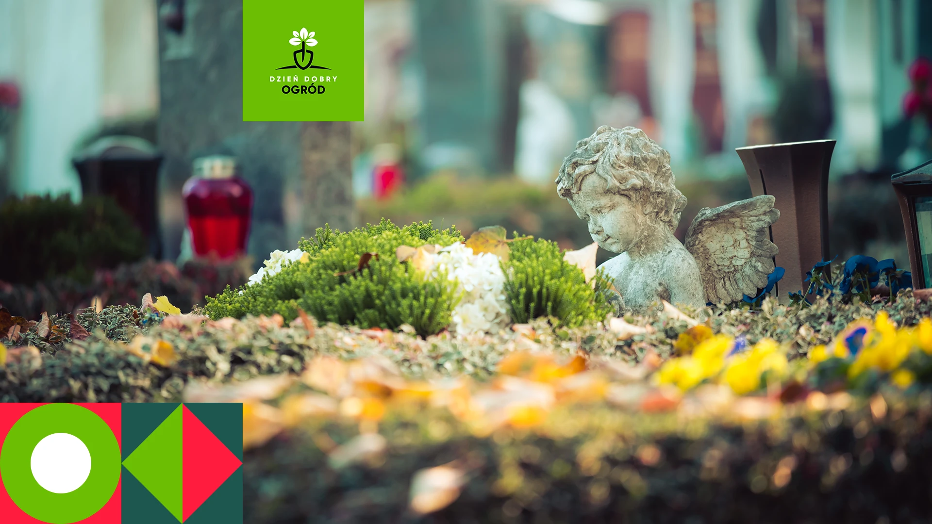 Kwiaty na cmentarz. Jakie kwiaty wybrać, by stworzyć dekorację grobu?