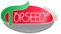 Torseed