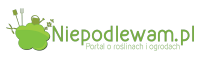 Niepodlewam